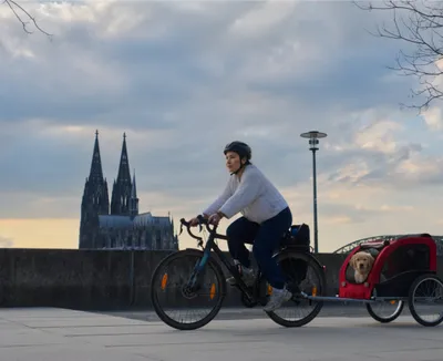 Conquer Cologne's Roads with Navelo Bike Navigation
